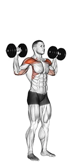 پرس سرشانه دمبل ایستاده