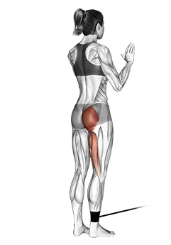 هیپ اکستنشن ایستاده با کش