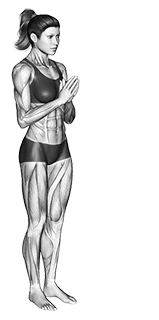 حرکت صندلی ۲ (اوتکاتاسانا ۲)