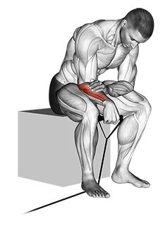 مچ دست برعکس با کش