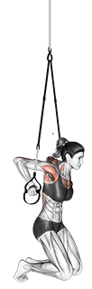دیپ سینه با کمک تی‌آرایکس