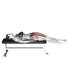 بالا آوردن پا صاف خوابیده روی نیمکت