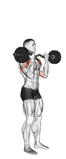 سرشانه پرس هالتر خمیده ایستاده