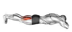 پشت‌پا خوابیده با وزن بدن