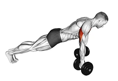 شنا سوئدی معکوس دمبل