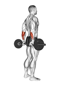مچ دست هالتر خمیده از پشت ایستاده