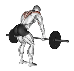 زیربغل نشر خم
