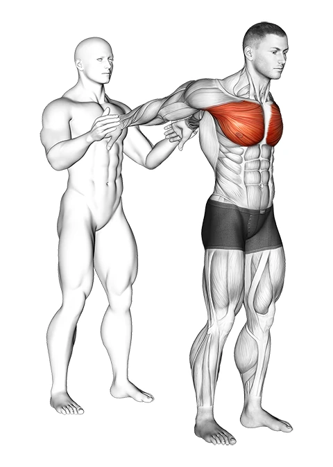 حرکت کششی سینه ایستاده با کمک