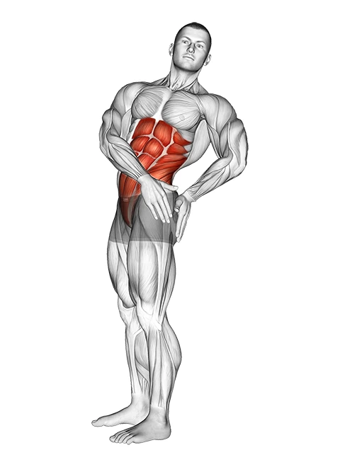 کشش چرخشی شکم ایستاده