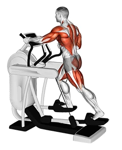 پیاده‌روی با دستگاه الپتیکال