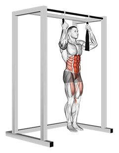 تاب زدن آویزان با پا صاف