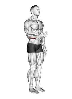 حرکات مفصلی مچ دست (ادداکشن)