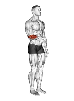 حرکات مفصلی مچ دست (اکستنشن)