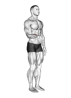 حرکات مفصلی مچ دست (فلکشن)