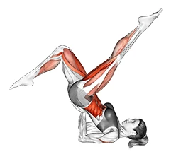دوچرخه