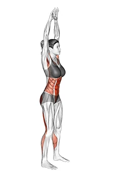 لمس پنجه پا از جلو