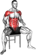 آپِرکات نشسته روی صندلی