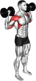 پرس سرشانه دمبل از پشت ایستاده