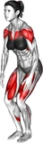 دایره کشیدن با پرش