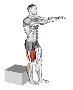 اسکوات تک‌پا روی جعبه کوتاه