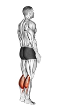 حرکت ساق پا ضربانی ایستاده با وزن بدن