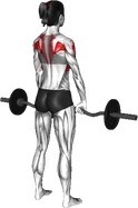 کول هالتر خمیده ایستاده