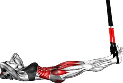 دوچرخه تی‌آرایکس