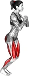 پرش به جلو و عقب