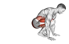 اسکوات تراست