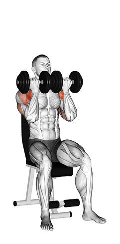 پرس سینه دمبل نشسته دست‌جمع