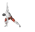 لانج مورب