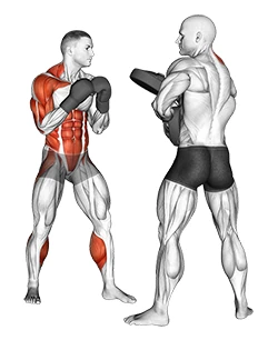 حرکت آپرکات راست بوکس