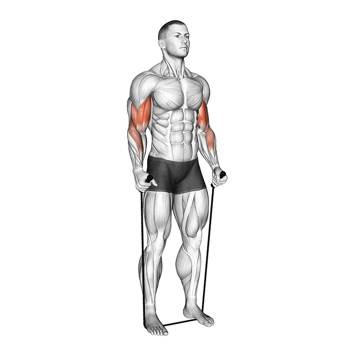 جلوبازو چکشی ایستاده با کش
