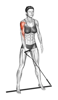 حرکت کول تکدست ایستاده با هالتر و کش
