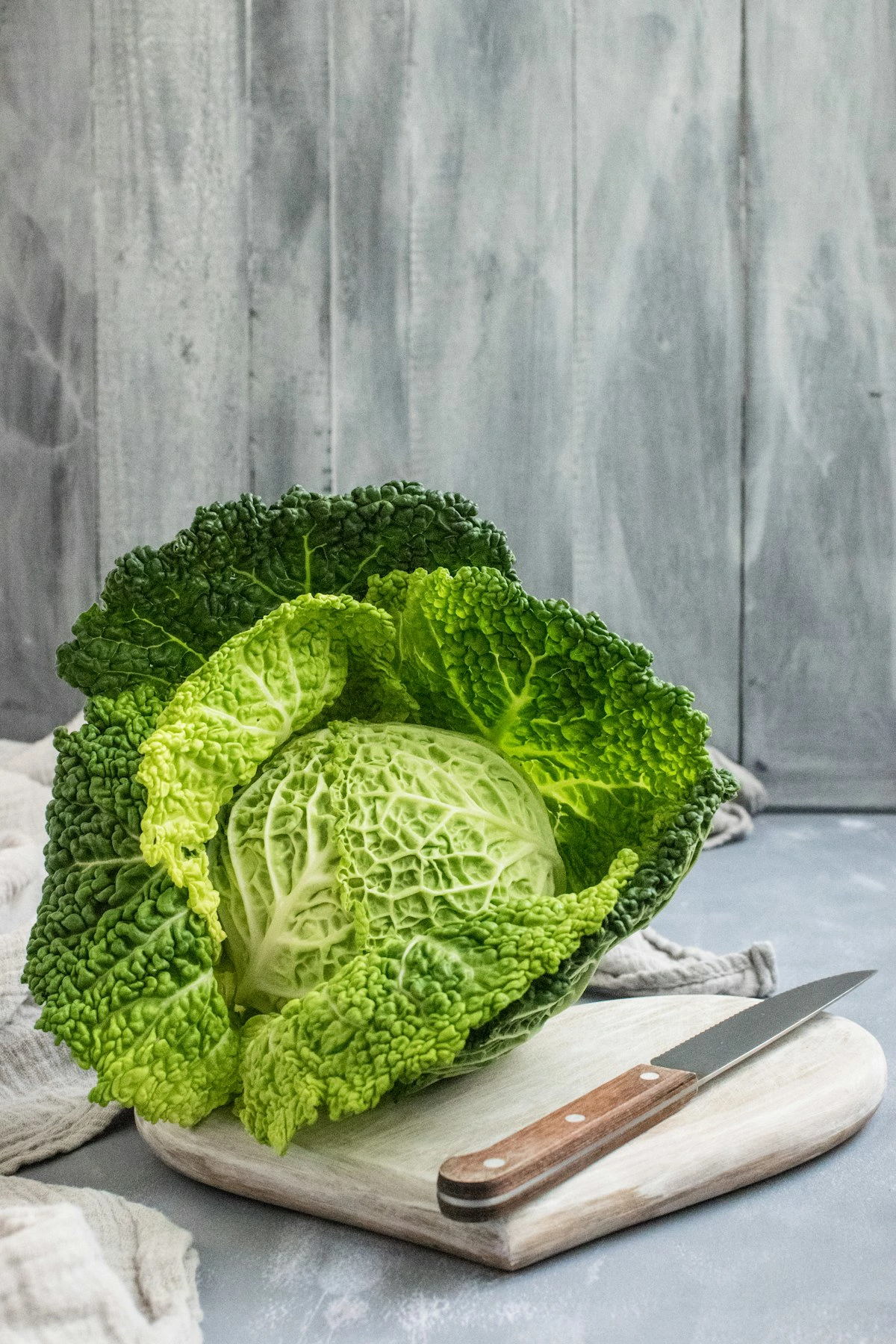 رژیم شوک