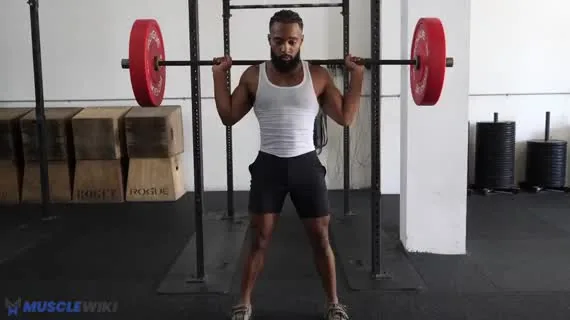 اسکوات هالتر