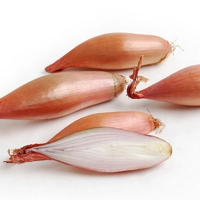موسیر