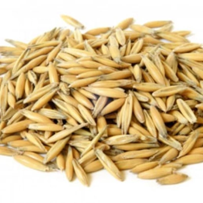 جو دو سر
