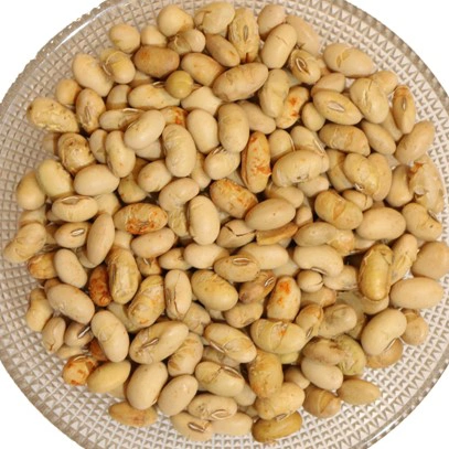 سویا آجیلی