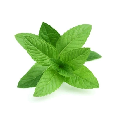 نعناع