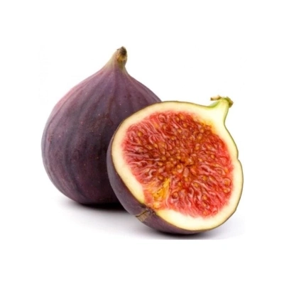 انجیر