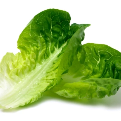 کاهو