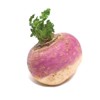 شلغم