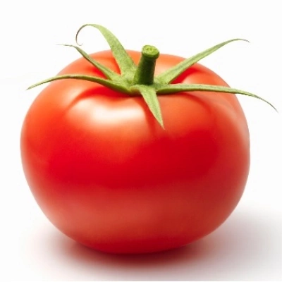 گوجه فرنگی