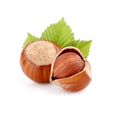 فندق