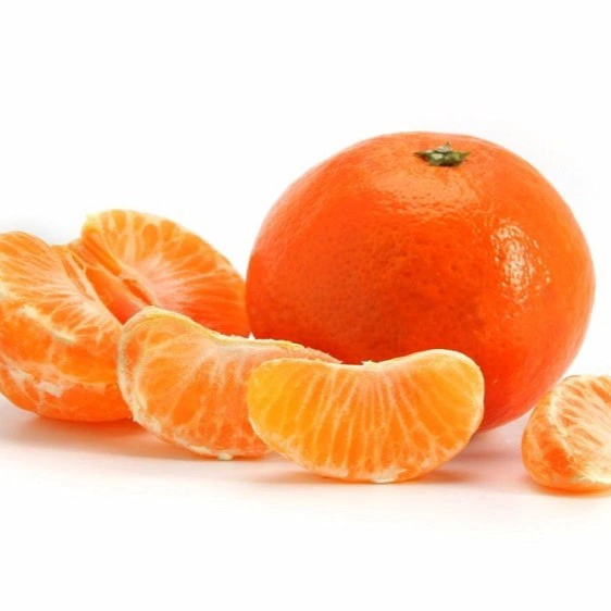 یافا