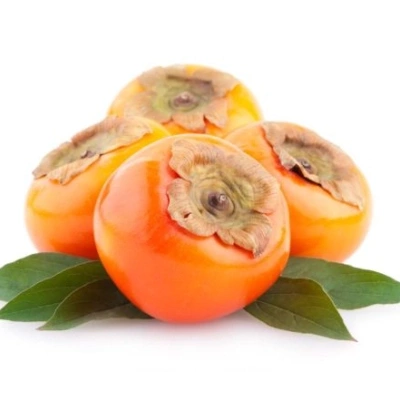 خرمالو