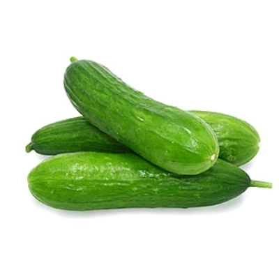 خیار