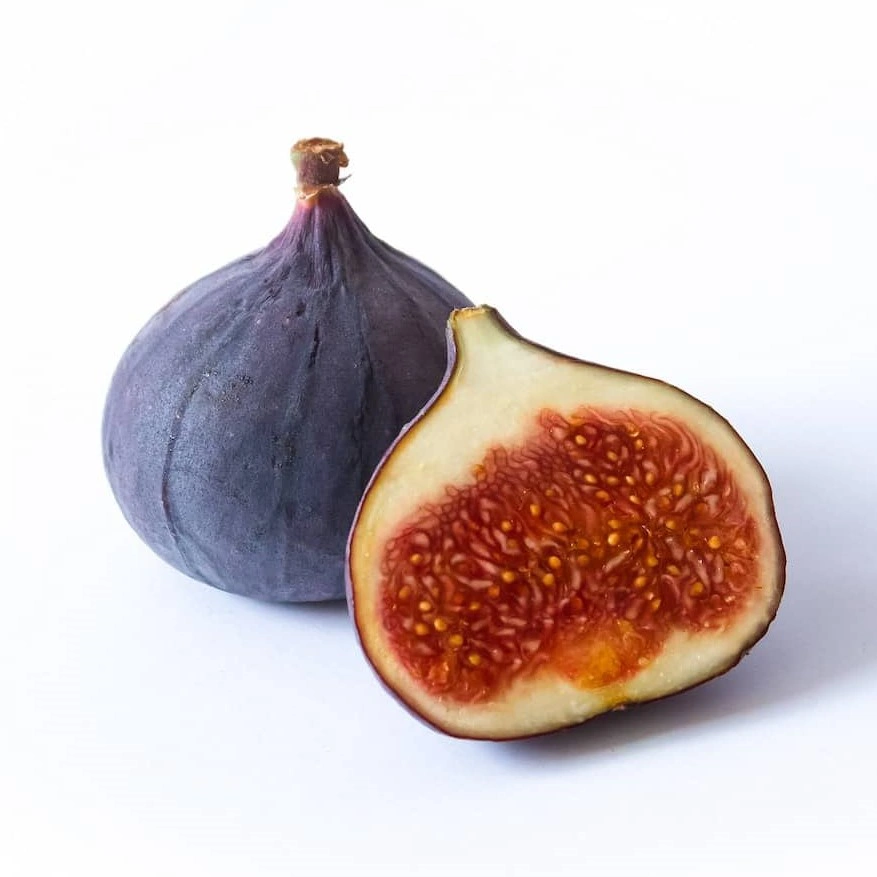 انجیر
