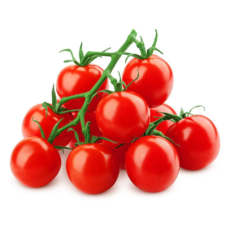گوجه گیلاسی